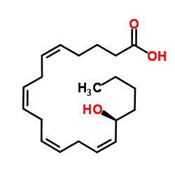 16-HETE structure