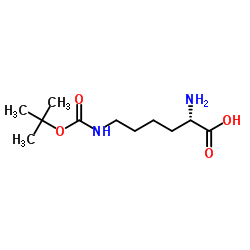 Z-丁氧羰基赖氨酸图片