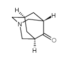 1-Azatricyclo[3.3.1.1(3,7)]decan-4-one picture