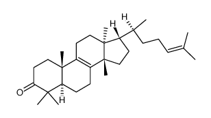 5α-tirucalla-8,24-dien-3-one picture