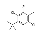 2,3,6-trichloro-4-tert-butyltoluene picture