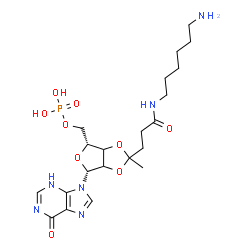 inosine 2',3'-O-(1-(6-aminohexyl)levulinic acid amide)acetal 5'-monophosphate Structure