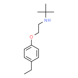 2-Propanamine,N-[2-(4-ethylphenoxy)ethyl]-2-methyl-(9CI)结构式