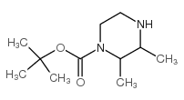 2,3-二甲基哌嗪-1-羧酸叔丁酯图片