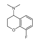 8-fluoro-N,N-dimethyl-3,4-dihydro-2H-chromen-4-amine结构式