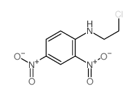 Benzenamine,N-(2-chloroethyl)-2,4-dinitro-结构式