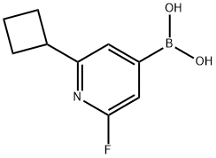 2225177-19-3 structure