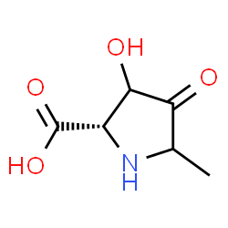 Proline, 3-hydroxy-5-methyl-4-oxo- (9CI) Structure