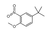 Benzene, 4-(1,1-dimethylethyl)-1-methoxy-2-nitro结构式