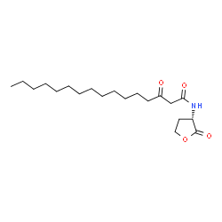 N-3-oxo-hexadecanoyl-L-Homoserine lactone Structure