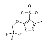 3-methyl-5-(2,2,2-trifluoroethoxy)-1,2-thiazole-4-sulfonyl chloride Structure