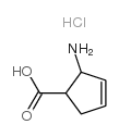 顺式-2-氨基-3-环戊烯-1-羧酸 盐酸盐图片