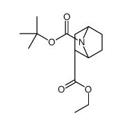 (1S,2S,4R)-7-TERT-BUTYL 2-ETHYL 7-AZABICYCLO[2.2.1]HEPTANE-2,7-DICARBOXYLATE structure