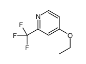 1297137-82-6 structure