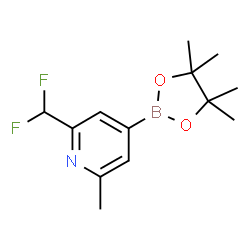 2-(二氟甲基)-6-甲基吡啶-4-硼酸频哪醇酯图片