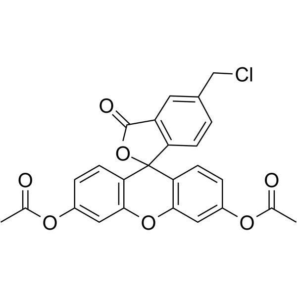 Cellhunt Green CMFDA [5-Chloromethylfluorescein Diacetate] picture