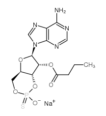 2'-O-MONOBUTYRYLADENOSINE-3',5'-CYCLIC MONOPHOSPHOROTHIOATE, RP-ISOMER SODIUM SALT structure