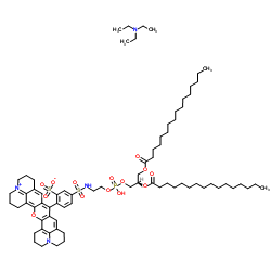 Sulforhodamine 101 DHPE结构式