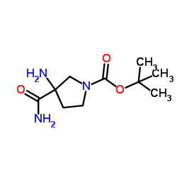 2-Methyl-2-propanyl 3-amino-3-carbamoyl-1-pyrrolidinecarboxylate structure