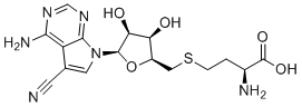 CN-SAH structure