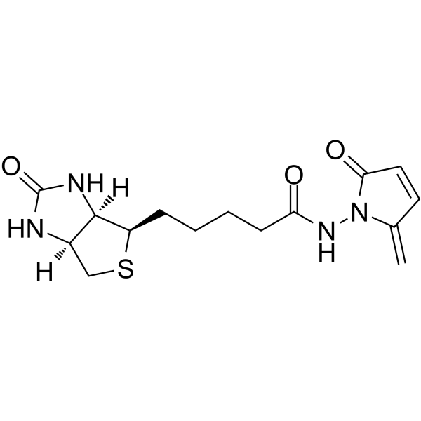 L-Biotin-NH-5MP Structure