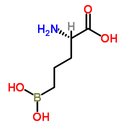 L-Norvaline, 5-borono- (9CI) structure