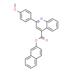 2-naphthyl 2-(4-methoxyphenyl)-4-quinolinecarboxylate picture