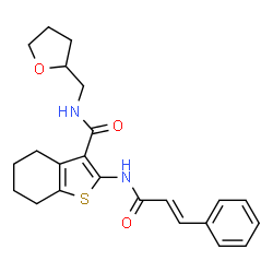 2-cinnamamido-N-((tetrahydrofuran-2-yl)methyl)-4,5,6,7-tetrahydrobenzo[b]thiophene-3-carboxamide structure