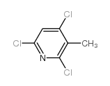 2,4,6-Trichloro-3-methylpyridine structure