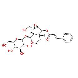 6-O-Cinnamoyl Catalpol Structure