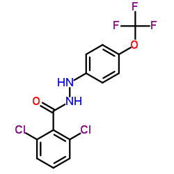 2,6-DICHLORO-N'-[4-(TRIFLUOROMETHOXY)PHENYL]BENZENECARBOHYDRAZIDE结构式