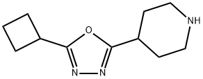 4-(5-Cyclobutyl-1,3,4-oxadiazol-2-yl)piperidine结构式