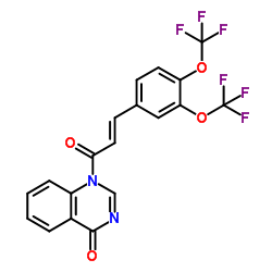 1-{(2E)-3-[3,4-Bis(trifluoromethoxy)phenyl]-2-propenoyl}-4(1H)-quinazolinone Structure