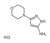 5-MORPHOLINO-1H-PYRAZOL-3-AMINE HYDROCHLORIDE picture