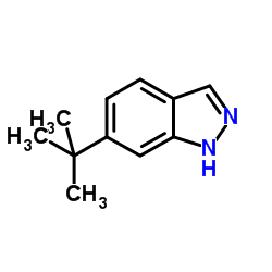 6-(2-Methyl-2-propanyl)-1H-indazole结构式