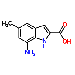 7-Amino-5-methyl-1H-indole-2-carboxylic acid结构式