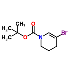 2-Methyl-2-propanyl 5-bromo-3,4-dihydro-1(2H)-pyridinecarboxylate picture