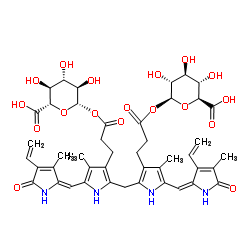 bilirubin diglucuronide Structure