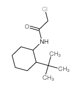 N-(2-tert-butylcyclohexyl)-2-chloroacetamide图片