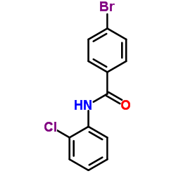 4-Bromo-N-(2-chlorophenyl)benzamide图片