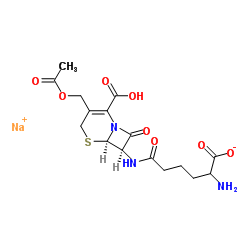 头孢菌素C钠盐图片