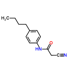 N-(4-BUTYL-PHENYL)-2-CYANO-ACETAMIDE图片