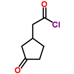 2-(3-oxocyclopentyl)acetyl chloride结构式