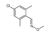 7240-05-3 structure