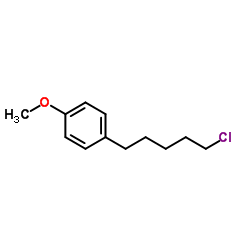 1-(5-Chloropentyl)-4-methoxybenzene结构式