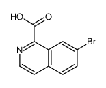 7-Bromo-1-isoquinolinecarboxylic acid图片