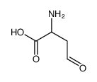 2-氨基-4-氧代丁酸结构式