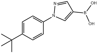 1-(4-tert-Butylphenyl)-1H-pyrazole-4-boronic acid图片