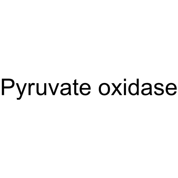 Pyruvate Oxidase structure