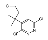 3,6-dichloro-4-(4-chloro-2-methylbutan-2-yl)pyridazine结构式